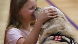 McHenry police dog receives patch to honor legacy of Duker School teacher who died at 42 