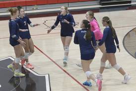 Photos: Fieldcrest volleyball defeats Woodland to advance to the Class 1A Regional final