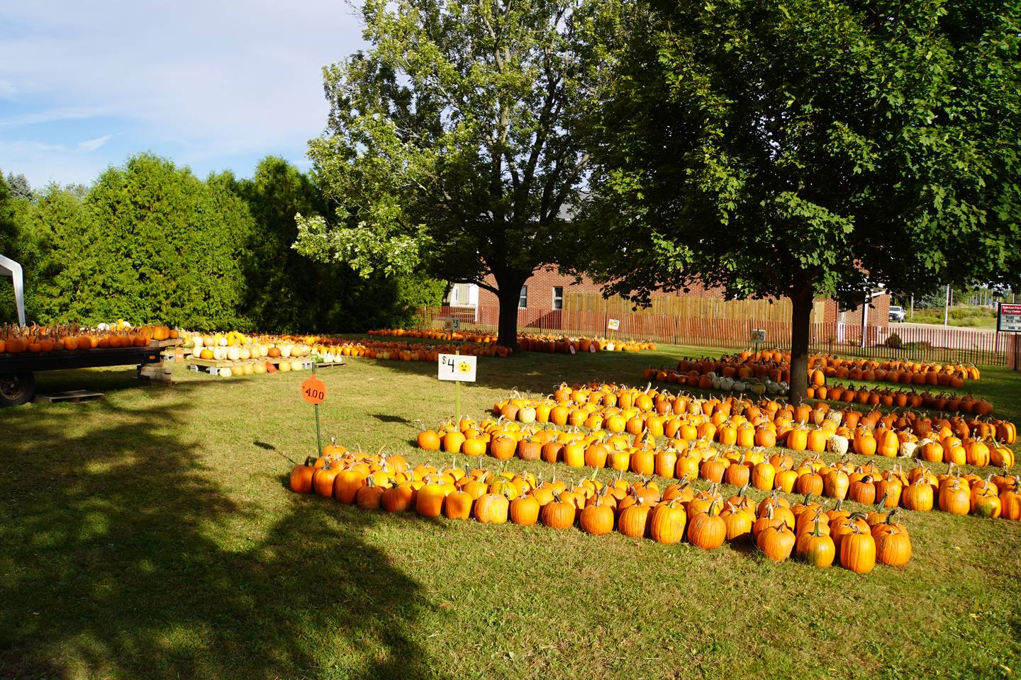 The Seebach family has been growing and selling pumpkins in Flagg Center just outside Rochelle for the past 44 years.