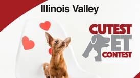 Illinois Valley's Cutest Pet Contest 2025