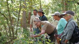 Become a Master Naturalist volunteer