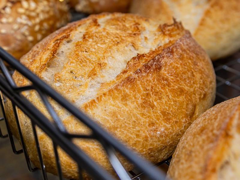 Illinois Extension to offer sourdough starter workshop May 12 in Oglesby