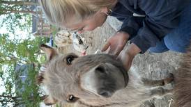 Kitzman’s Farm Sanctuary tours are Aug. 2