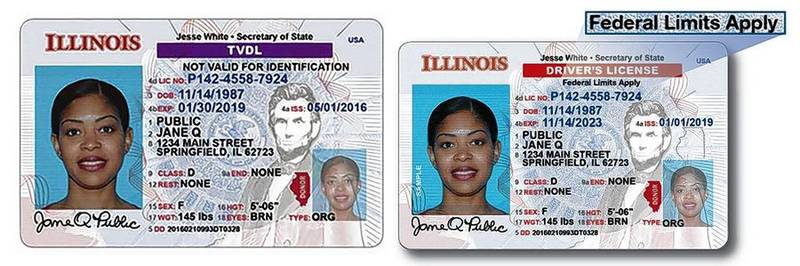 At left is the Temporary Visitor Driver’s License and at right is the standard license. Courtesy of Illinois Secretary of State’s Office