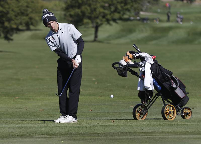 Prairie Ridge’s Charles Pettrone chips onto the ninth green  during the IHSA 2A Marengo Regional Golf Tournament Wednesday, Sept. 28, 2023, at Marengo Ridge Golf Club.