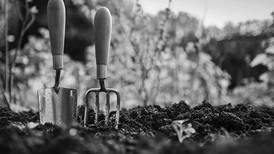 Simple ways to reduce risk of disease in your garden