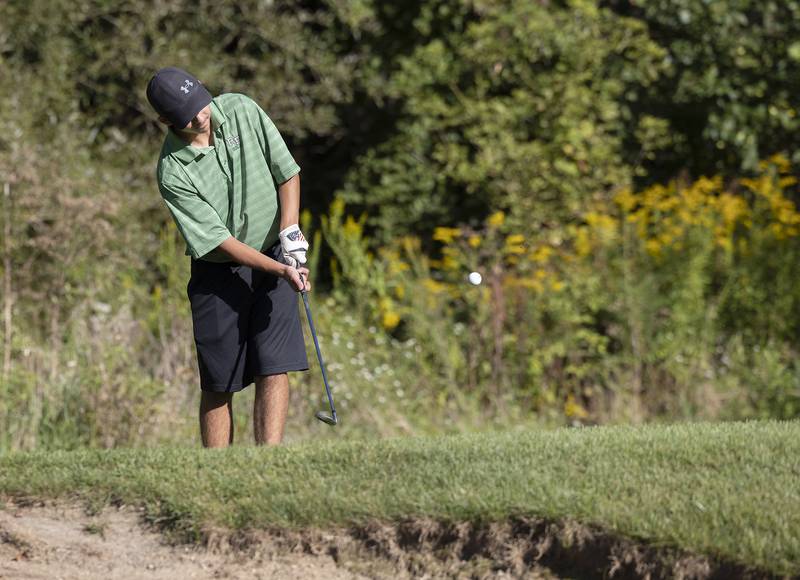 Rock Falls’ Alex Johnson chips onto the green at #11 Tuesday, Sept. 3, 2024, at Silver Ridge Golf Club in Oregon.