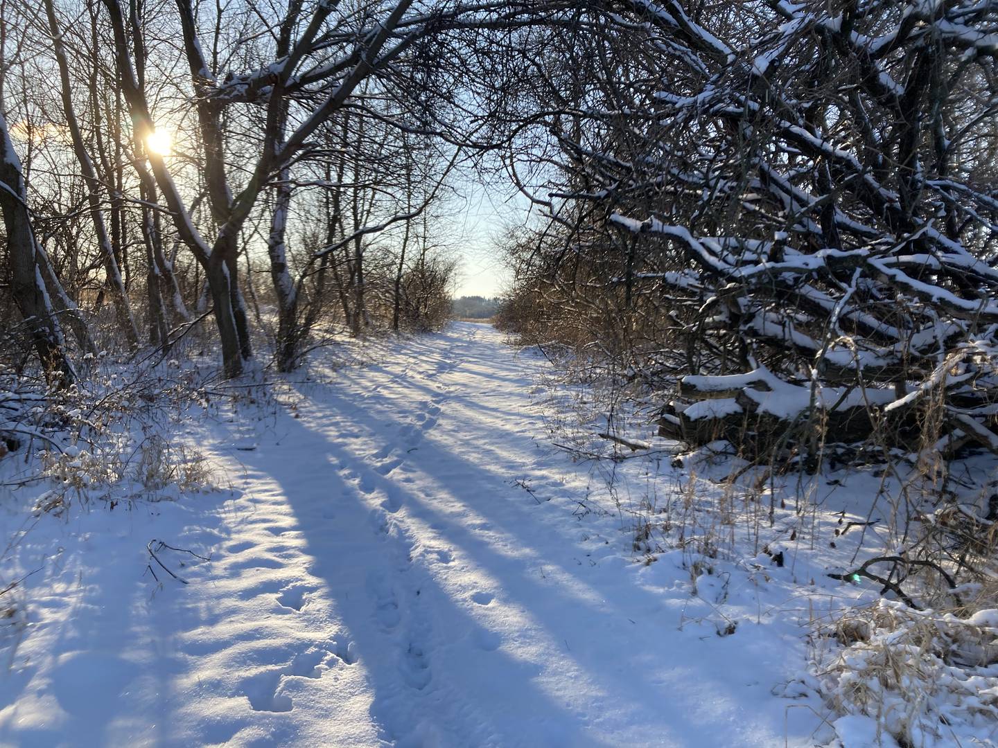 The Land Conservancy of McHenry County acquired 300 acres of land near Bull Valley in March 2022. The nonprofit plans to turn the land into a nature park, while preserving its 5 miles of bridle trails.