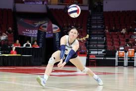Daily Journal Girls Volleyball Player of the Year: Cissna Park’s Addison Lucht