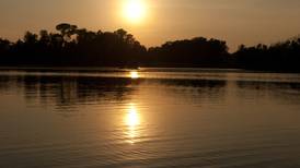 7 ways to have fun at the Will County forest preserve this weekend