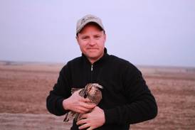 Starved Rock to host program on endangered prairie chicken