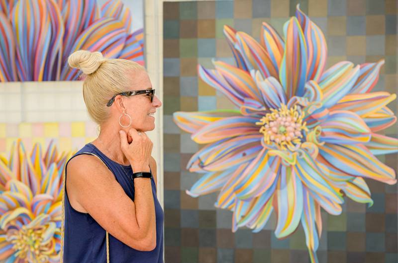 Holly Schwaz of Aurora looks over artwork by Kate Hoyer of Glenview during the Geneva Arts Fair along Third Street on Saturday, July 27, 2024.
