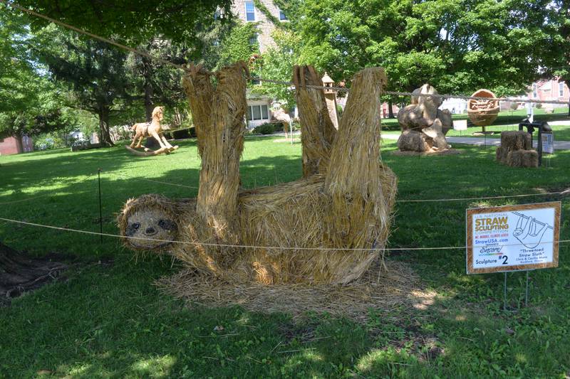 "Three Toed Straw Sloth" was created by Chris and Cecilia Mann.