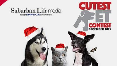Suburban Life's December 2023 Cutest Pet Contest