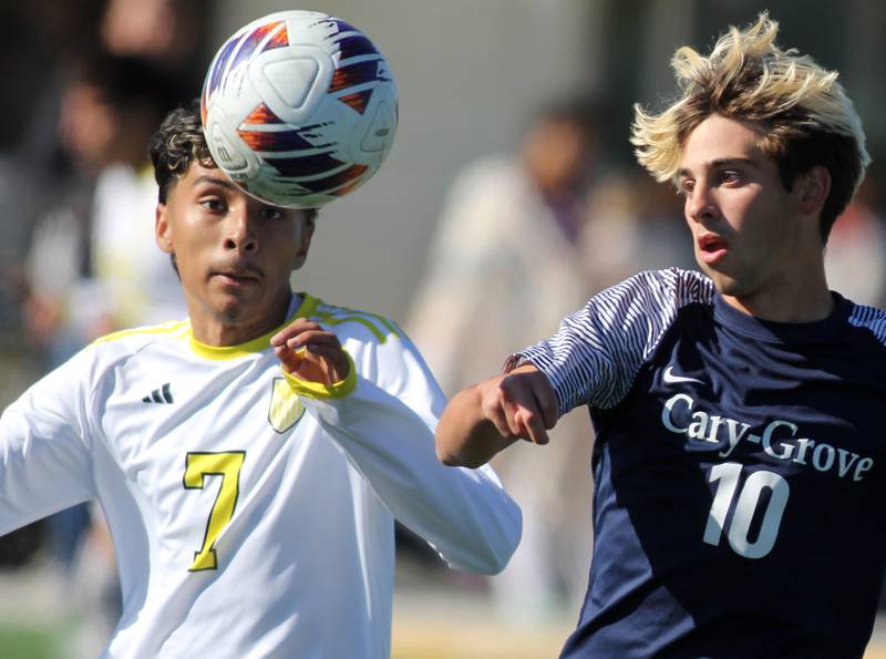 Cary-Grove’s Cole Waddell, right, and Harvard’s Jesus Aquino race to the ball in IHSA Class 2A Regional Title Game soccer action on Saturday, Oct. 26, 2024, at  Harvard Junior High School  in Harvard.