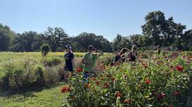 Dixon farm sanctuary visit brings ag lessons to life for Sterling students