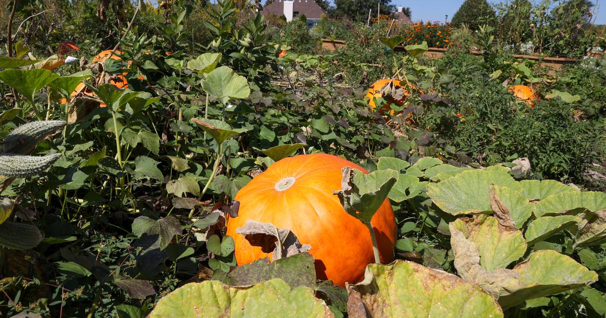 First Congregational Church of Peru hosts Thanksgiving service