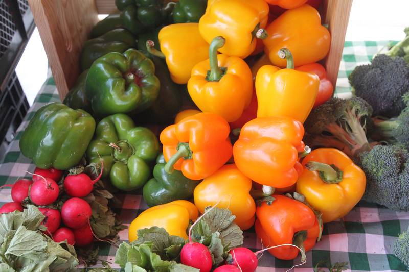 Different colored peppers, radishes and broccoli were featured in the Harms Farm produce stand at the Wauconda Farmers’ Market in downtown Wauconda. The farmers’ market runs on Thursday afternoons from 4-7pm through September 29th