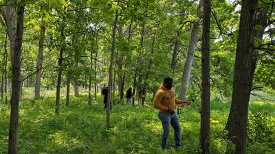 Moraine Hills State Park has rare woodland. Volunteers are needed to help protect it and other plants 