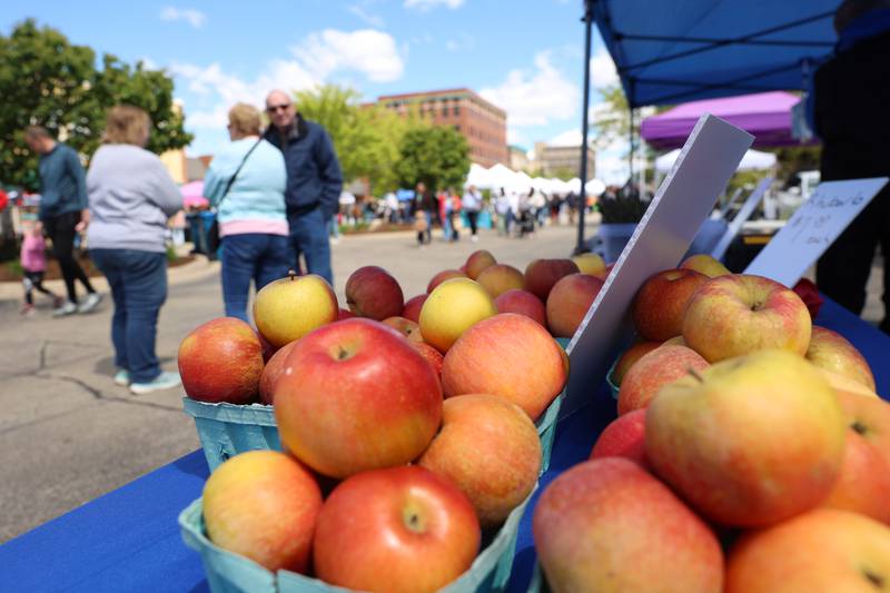 Fresh produce from Hardin Farms awaits a buyer at the first Kankakee Farmers' Market of the year on May 1, 2026.