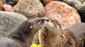 Summerfield Zoo in Belvidere now open for 2026 season