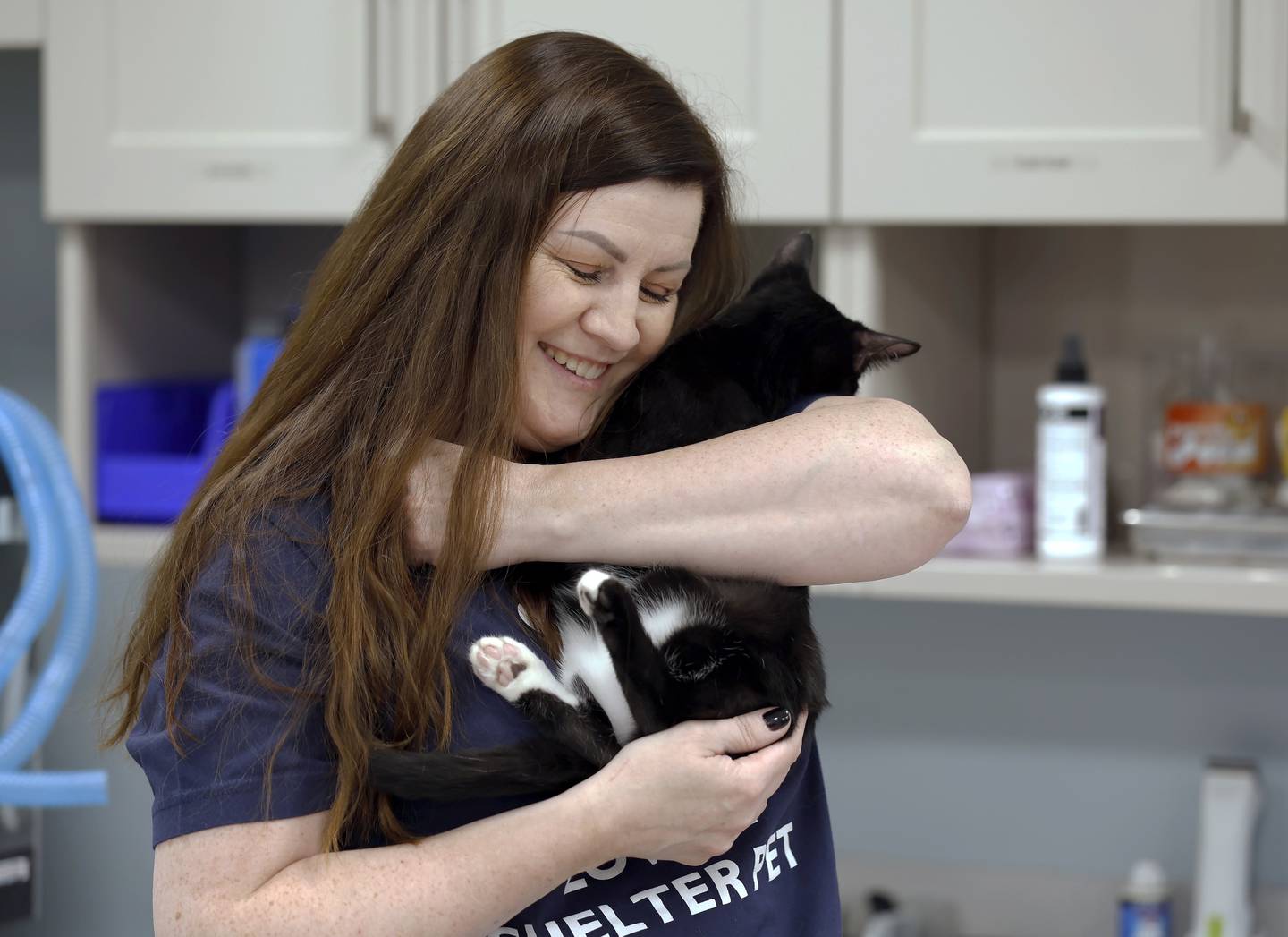 Agnieszka ("Aga") Bazan-Guzman, a volunteer and cat lover from Elmhurst works with one of her foster cats at DuPage County Animal Services Friday, Nov. 21, 2025 in Wheaton.