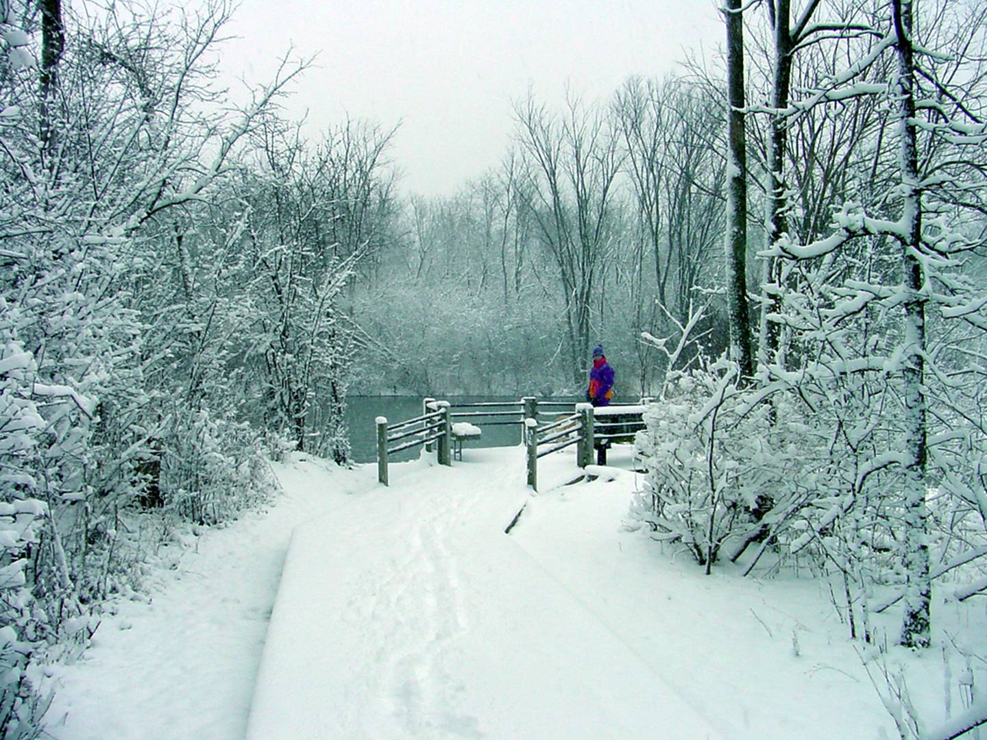 Rock Run Greenway Trail in the Will County Forest Preserve.