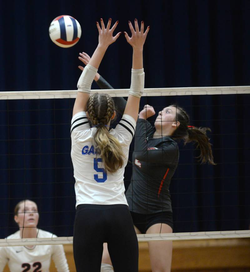Fulton's Chloe Wilkin (2) spikes the ball against Galena during 1A action at the Polo Sectional on Tuesday, Nov. 5, 2024 at Polo High School.