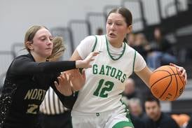 Photos: Crystal Lake South vs. Grayslake North girls basketball 