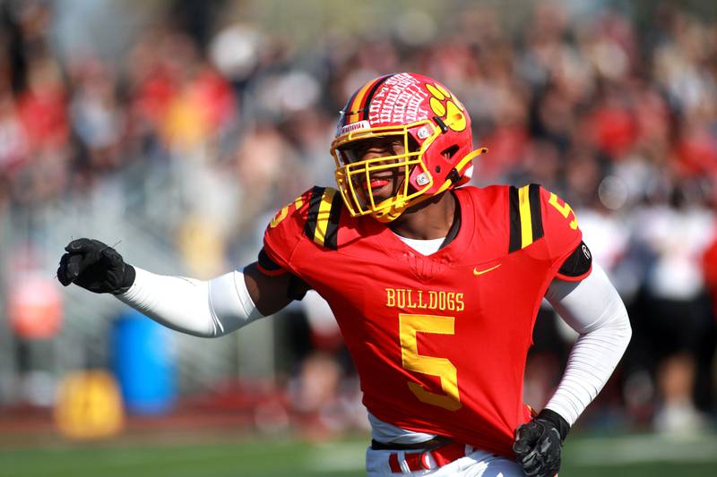 Batavia’s Jordan Buckley celebrates his turnover during the Class 7A second round playoff game against Lincoln-Way Central in Batavia on Saturday, Nov. 4, 2023.