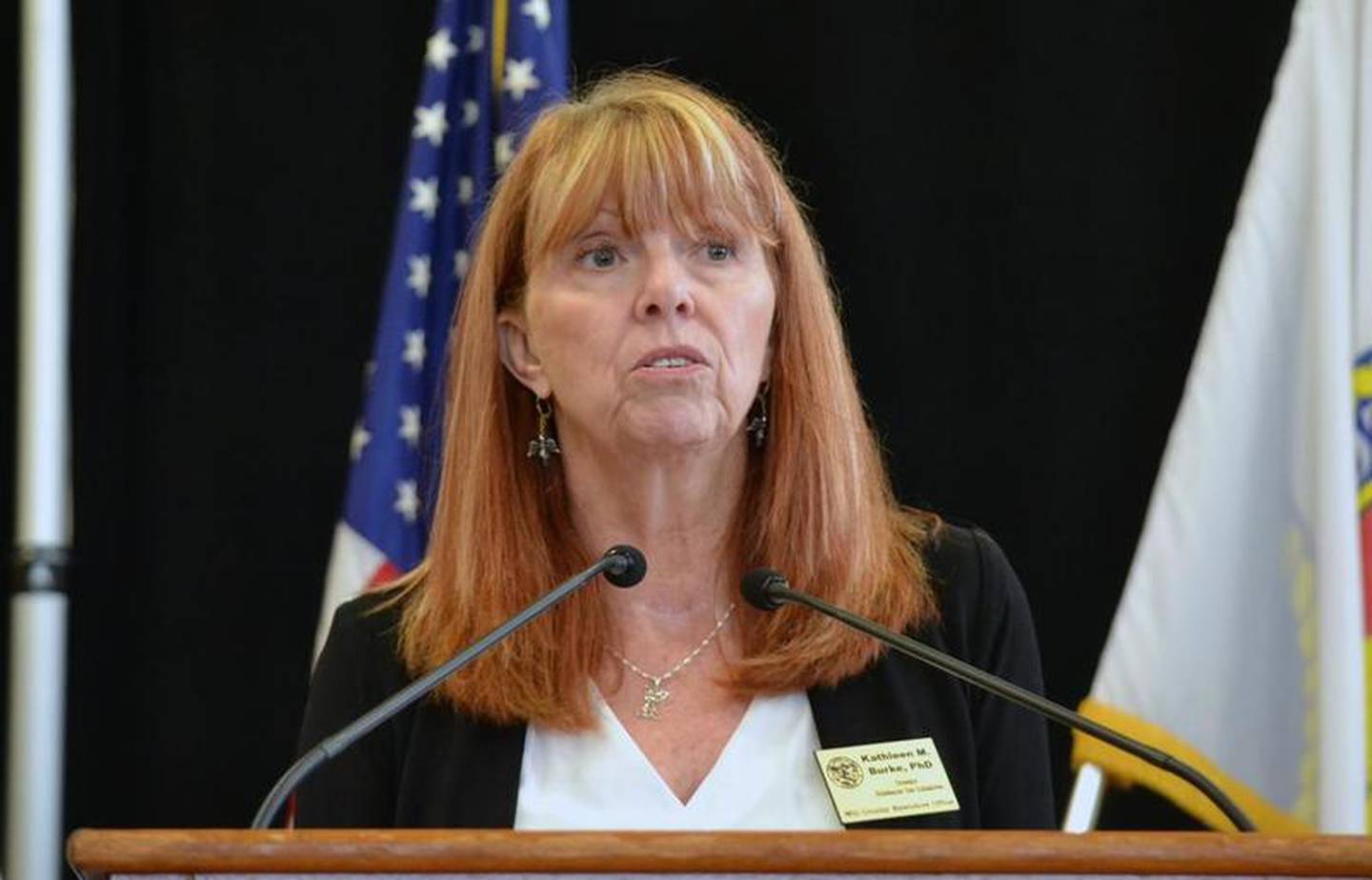 Kathleen Burke, director of the Will County executive office of substance use initiatives, speaks Friday to the attendees of the HERO and HELPS Summit in Romeoville.