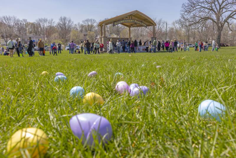The Easter egg hunt drew a large crowd of participants on April 12, 2025 at Centennial Park in Peru.