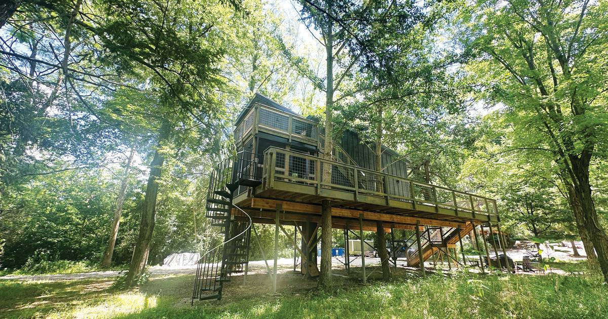 Listen: Illinois Valley’s 5 most-read stories this week, Dec. 28-Jan. 3