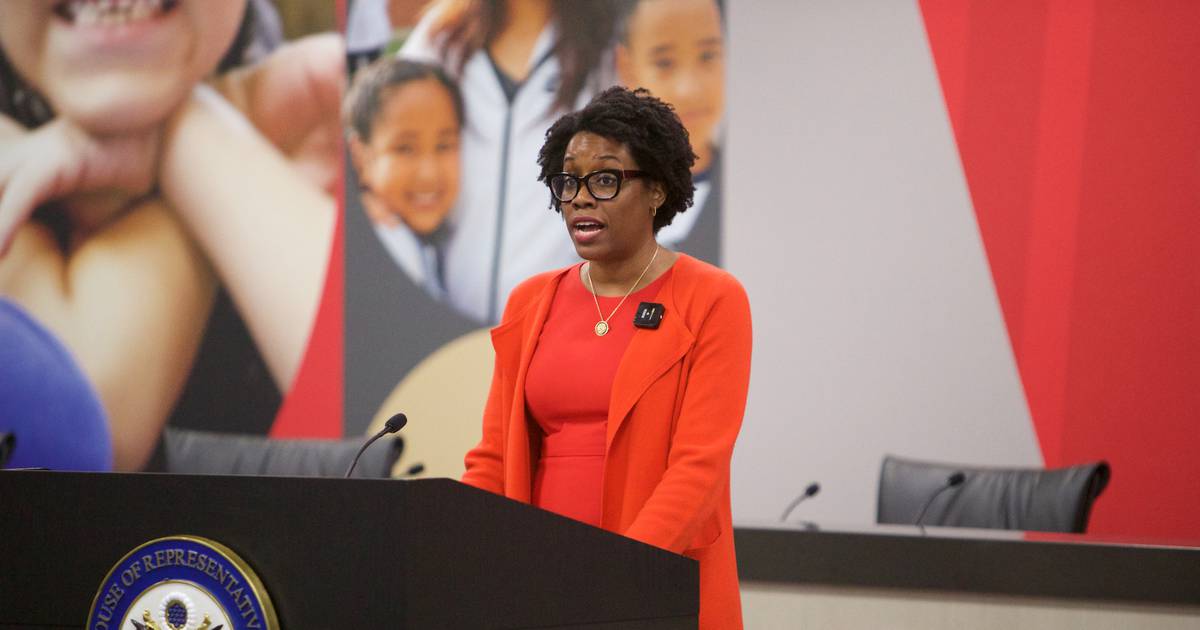 House Democrats from Illinois opposed more spending on ‘lawless’ ICE operations