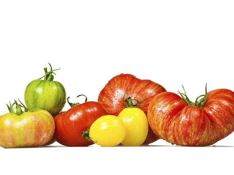 U of I Extension to offer Tomato Troubles program June 23 in Seneca