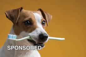 Why Pet Dental Health Month Matters for Your Dog’s Overall Wellbeing