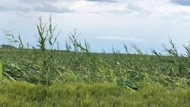 Congressionally mandated disaster assistance for farmers available: Carroll County FSA