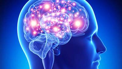 Dundee Township Mental Health Board seeks applicants for vacant board spots