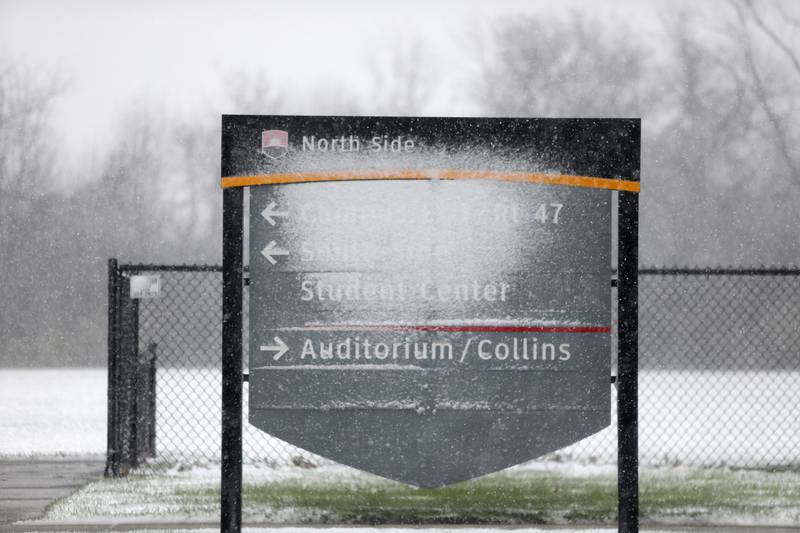 Kane County experienced the first snowfall of the season on Thursday, Nov. 21, 2024.