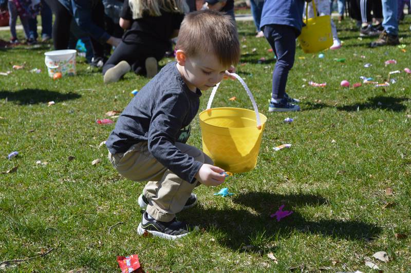 Harrison Keller, 2, of Marion, Iowa, picks up a piece of candy during an Easter egg hunt in Forreston's Memorial Park on April 8, 2023. Harrison was in Forreston visiting family. The Forreston Lions Club and Forreston Area Business Association sponsored the annual Easter egg hunts and a Touch-A-Truck event.
