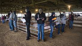 FFA, 4-H youths learn to judge for themselves Saturday in Milledgeville