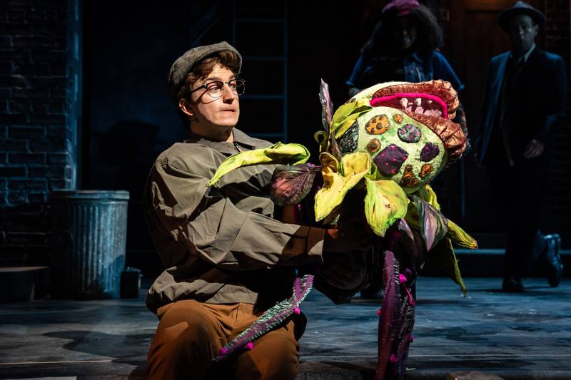 Seymour (Jack Ball) tries to appease his carnivorous plant Audrey II in Little Shop of Horrors, Paramount Theatre’s 12th Broadway Series opener. Performances are August 30-October 15, 2023. Landree Fleming directs. For tickets and information, visit paramountaurora.com, or call (630) 896-6666. Photo credit: Liz Lauren