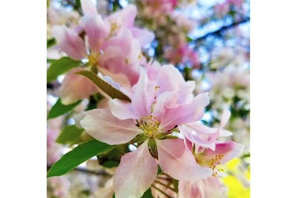 Herald-News seeking ‘Women of the Year’ submissions