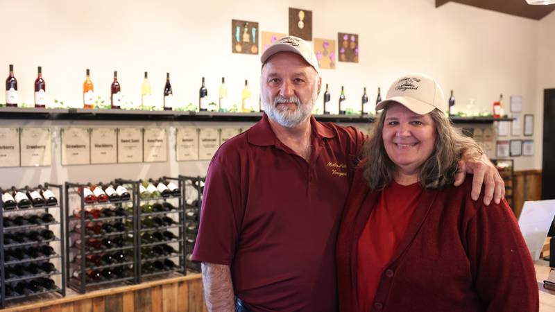 Mistie Hill Vineyard celebrates growth with a traditional grape stomp