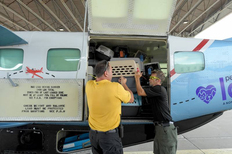 Aurora Municipal Airport employees John Luman and Al Jensen help unload some of dogs and cats rescued from the recent Texas Floods.  The animals were flow north on a Dog Is My CoPilot flight to the Aurora Municipal Airport on Thursday, Jul 24, 2025 in Sugar Grove.