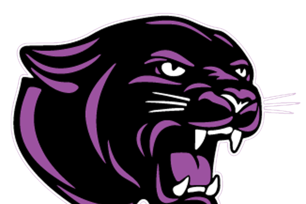 Hampshire’s Lucas Prange throws no-hitter, strikes out nine in victory: Monday’s Northwest Herald roundup