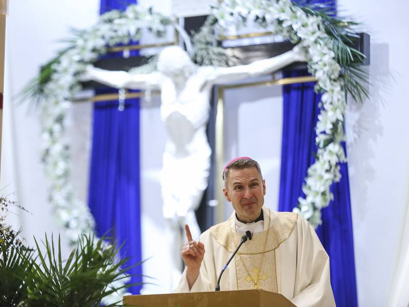 Diocese of Joliet outlines changes; victims have doubts