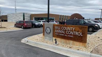 Will County offering free microchipping for dogs and cats in December
