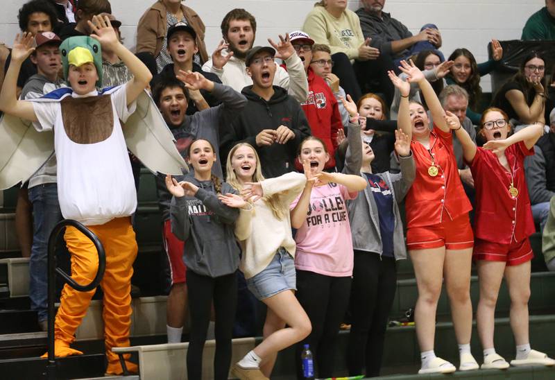 Henry-Senachwine students dressed in Halloween costumes, cheer on the Lady Mallards as they play St. Bede during the Class 1A Regional final game on Thursday, Oct. 31, 2024 at St. Bede Academy.