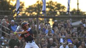 Bradley-Bourbonnais Little League to move to Bradley 315 Sports Park